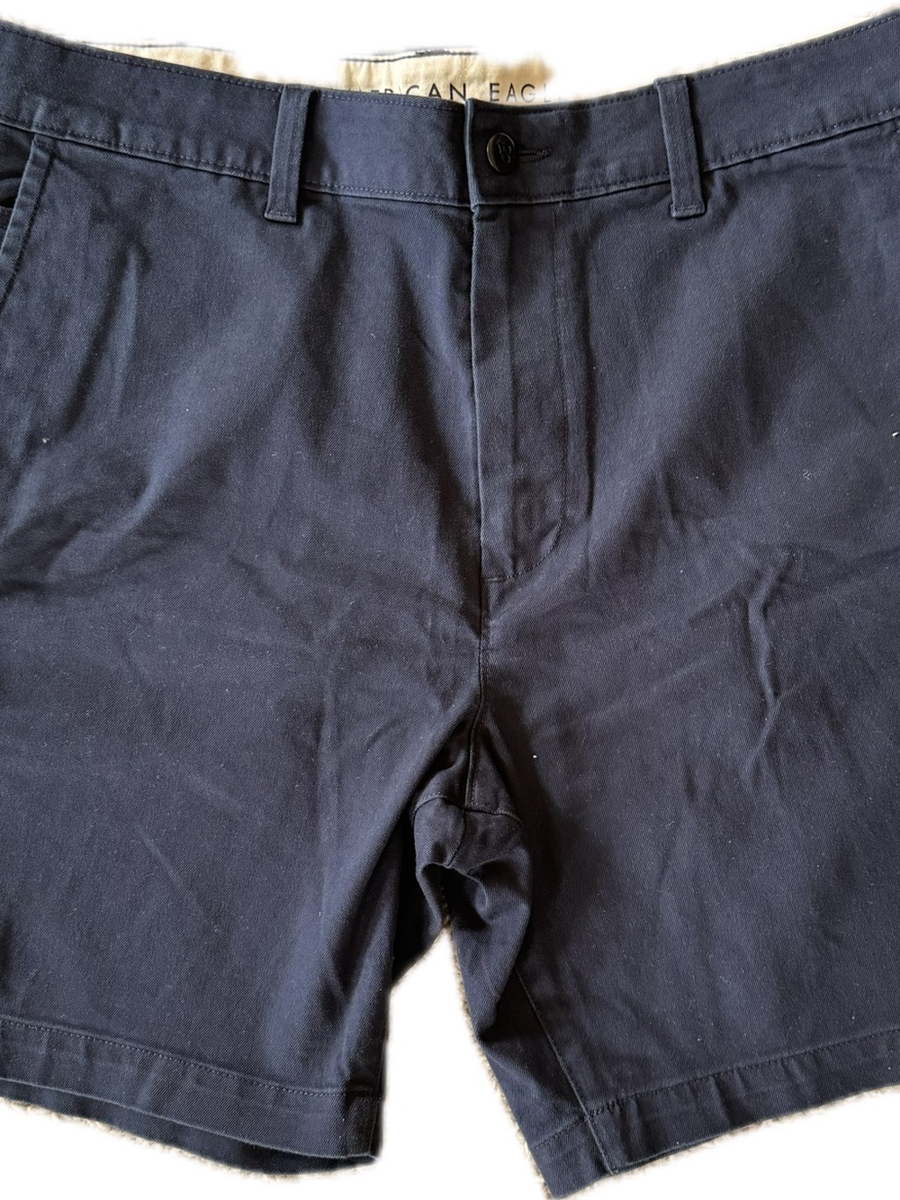 American Eagle Outfitters Dark Navy Flat Front Men’s Shorts